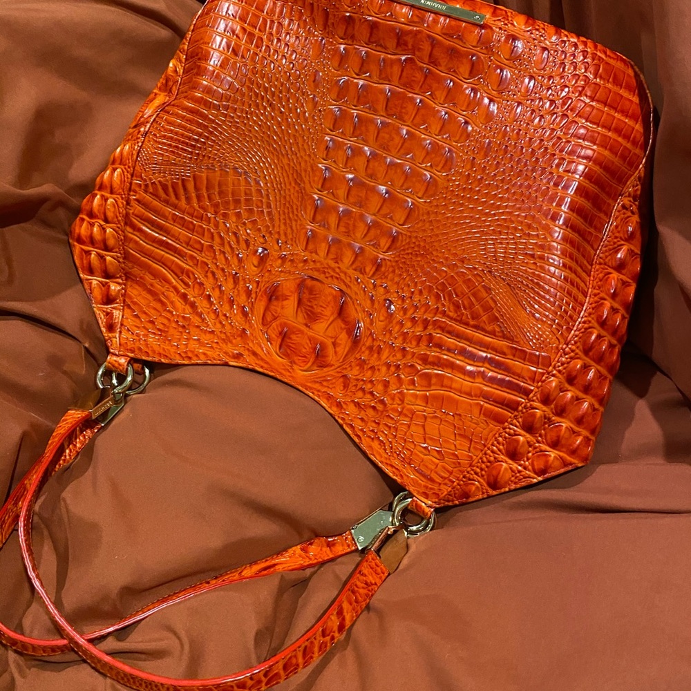 Vibrantly Expressed Brahmin